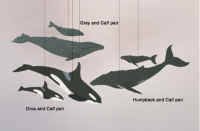 Pacific Northwest Marine Animals Mobile.