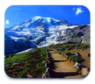 Walk to the top of Mount Rainier for a great view of Washington.